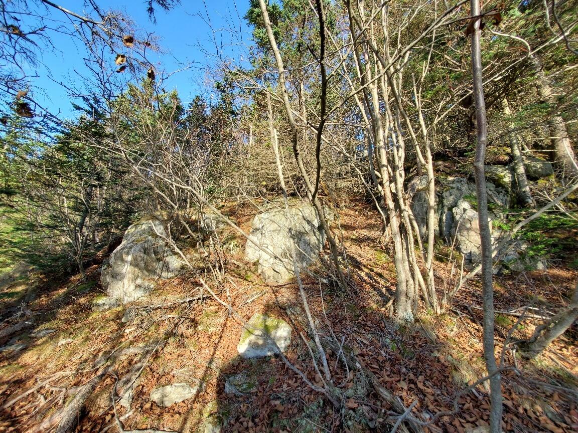 Lot 7 South Ocean Road Machiasport, ME 04655 - Photo 32 of 44 more glacial erraticas