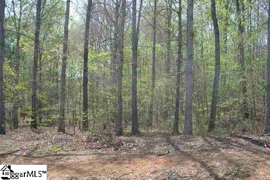 0 South Blue Ridge Drive Greer, SC 29651 - Photo 1 of 2