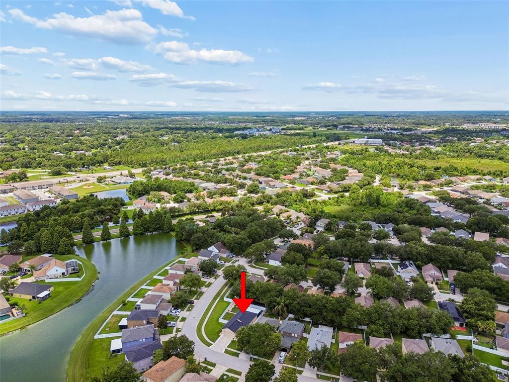 32323 Fish Hook Loop Wesley Chapel, FL 33545 - Photo 58 of 76