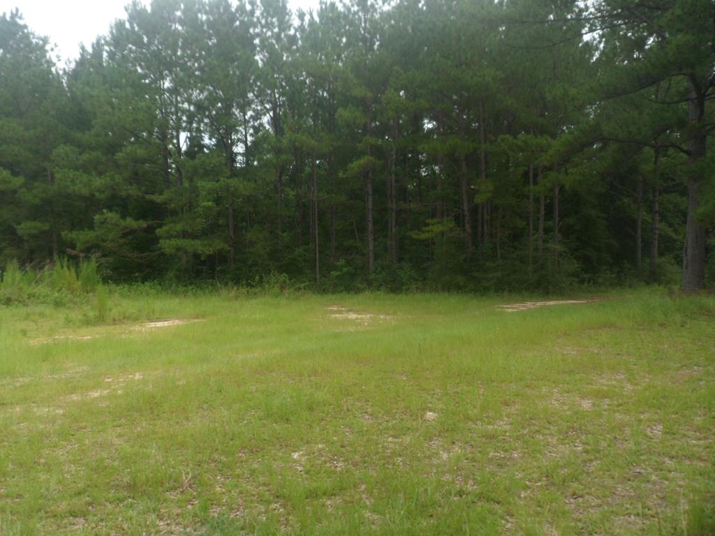 0 Tv Tower Road Andalusia, AL 36420 - Photo 3 of 8 Gallery Image 3