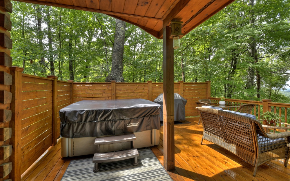 157 Little Bushy Head Road Blue Ridge, GA 30513 - Photo 45 of 50 Additional View