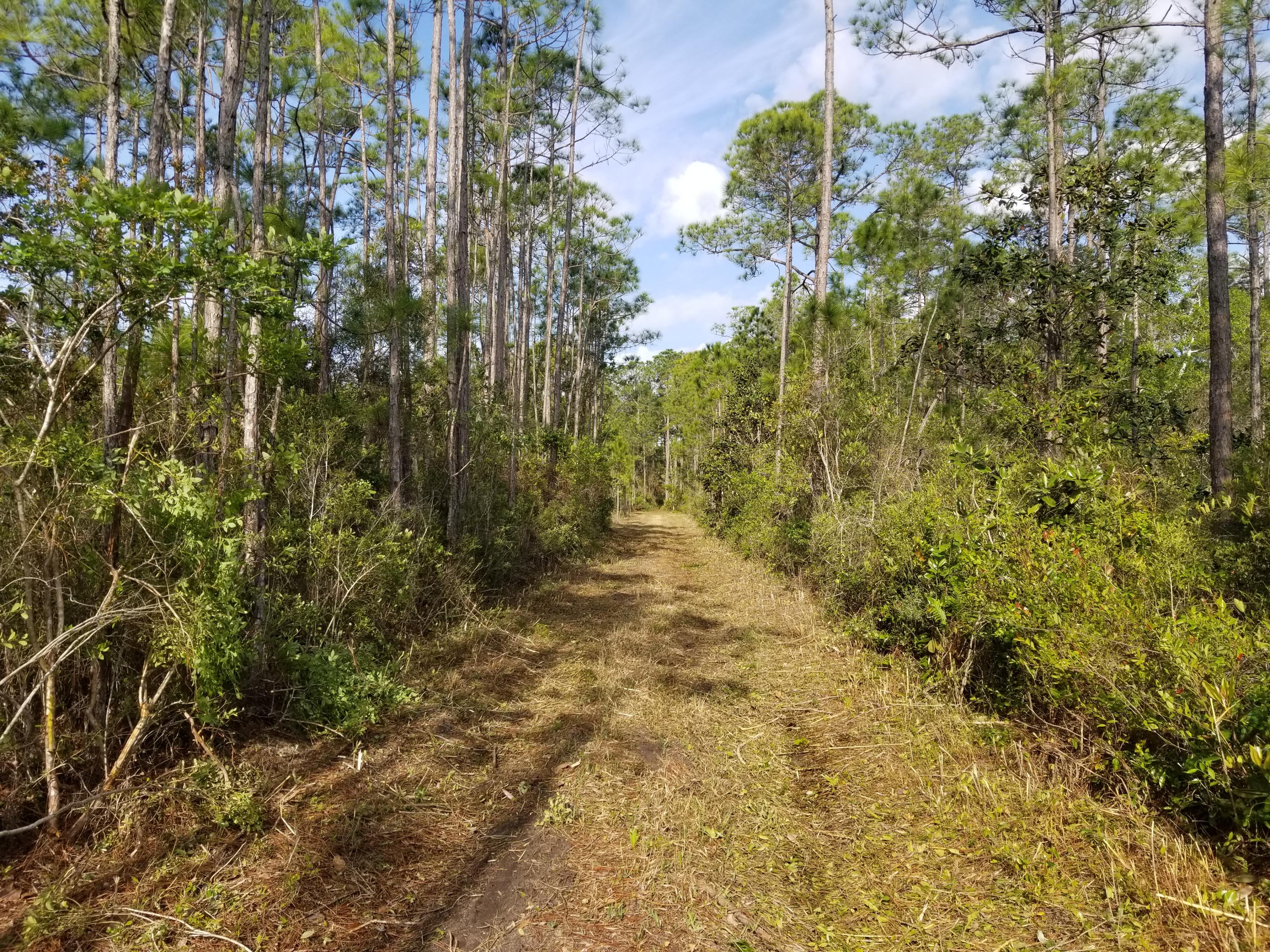Lot 13 Foxmire Farm Road Santa Rosa Beach, FL 32459 - Photo 5 of 13 20190413_085244