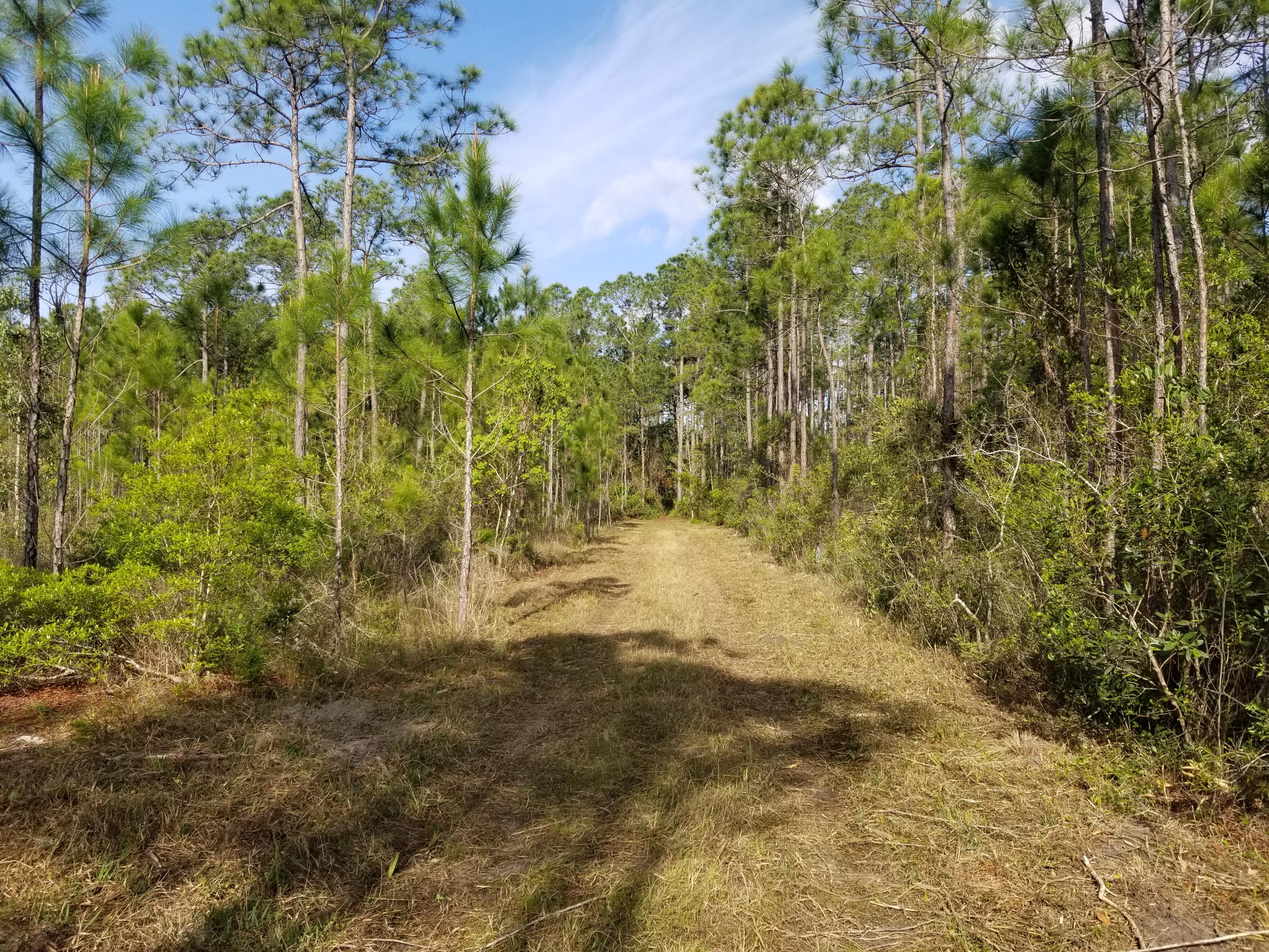 Lot 13 Foxmire Farm Road Santa Rosa Beach, FL 32459 - Photo 6 of 13 20190413_085328