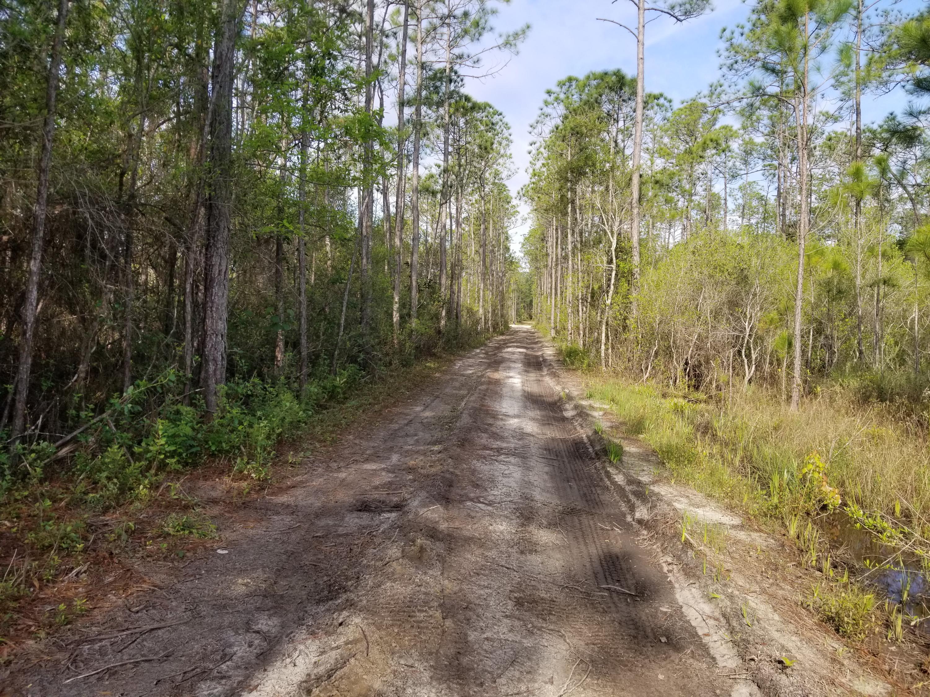 Lot 13 Foxmire Farm Road Santa Rosa Beach, FL 32459 - Photo 9 of 13 20190413_085951