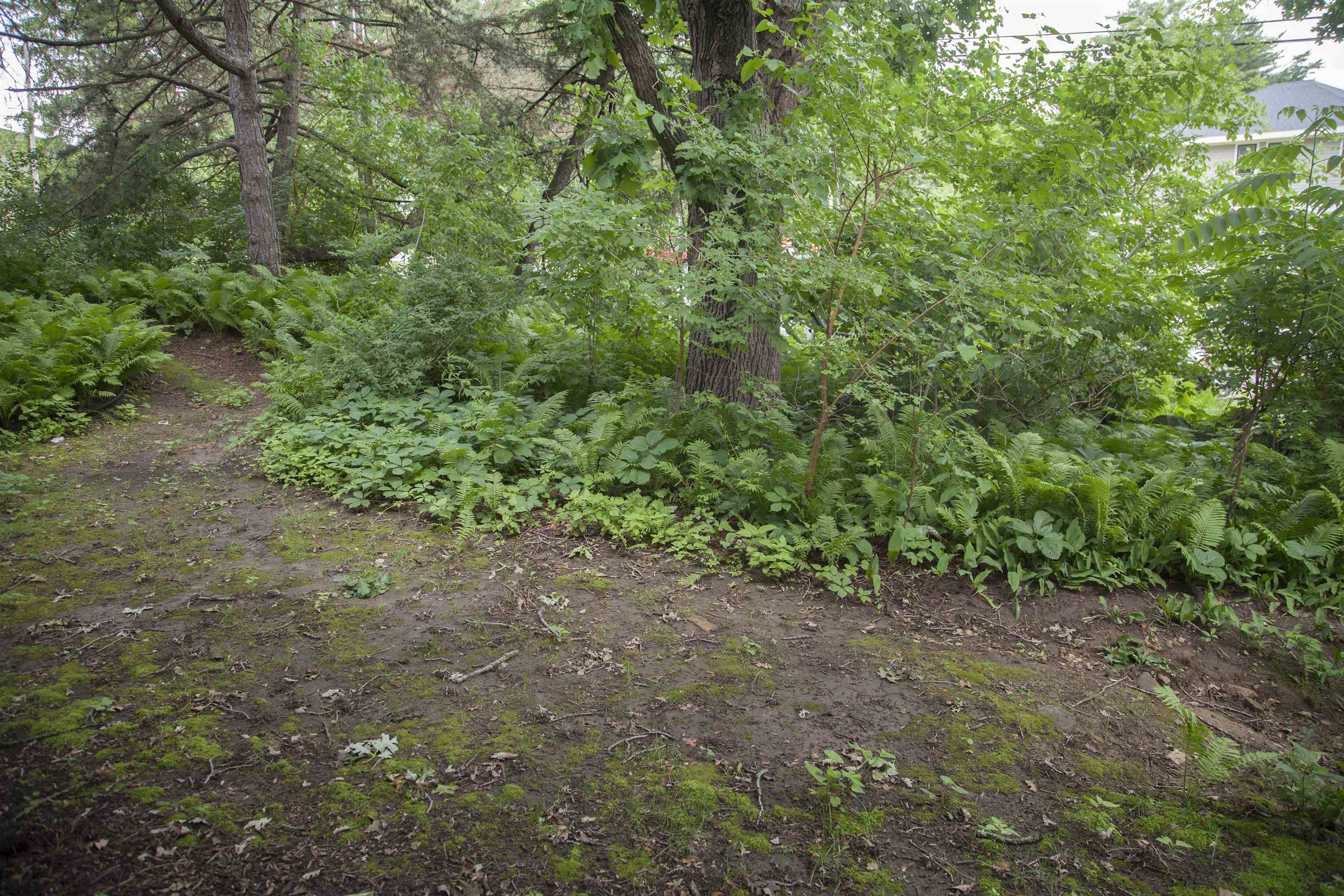6239 Charing Cross Lane, Unit B2 Middleton, WI 53562 - Photo 13 of 31