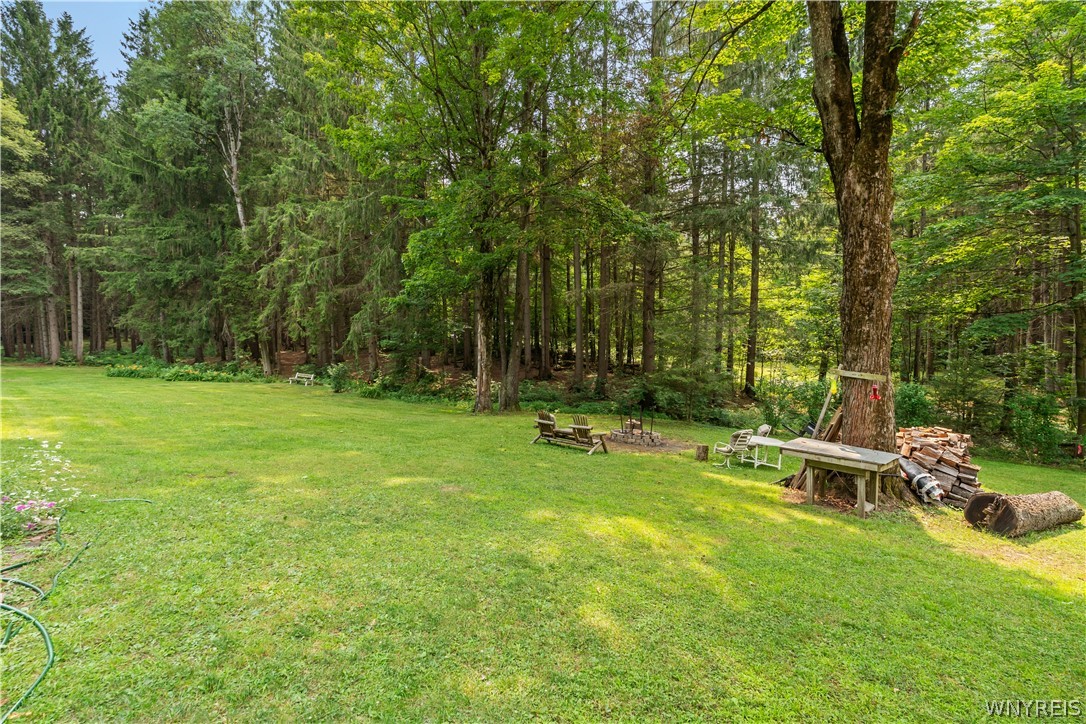 28 Treehaven Road Wethersfield, NY 14066 - Photo 39 of 48 Yard