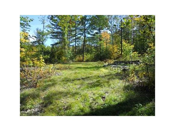 Lot 20 Lily Pond Road Pike, NH 03780 - Photo 3 of 6