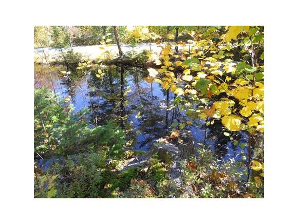 Lot 20 Lily Pond Road Pike, NH 03780 - Photo 4 of 6