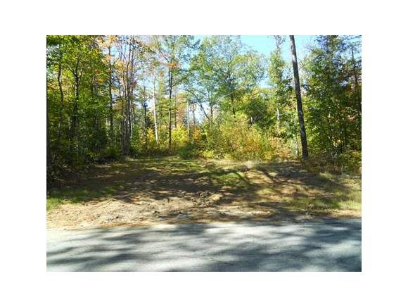 Lot 20 Lily Pond Road Pike, NH 03780 - Photo 5 of 6