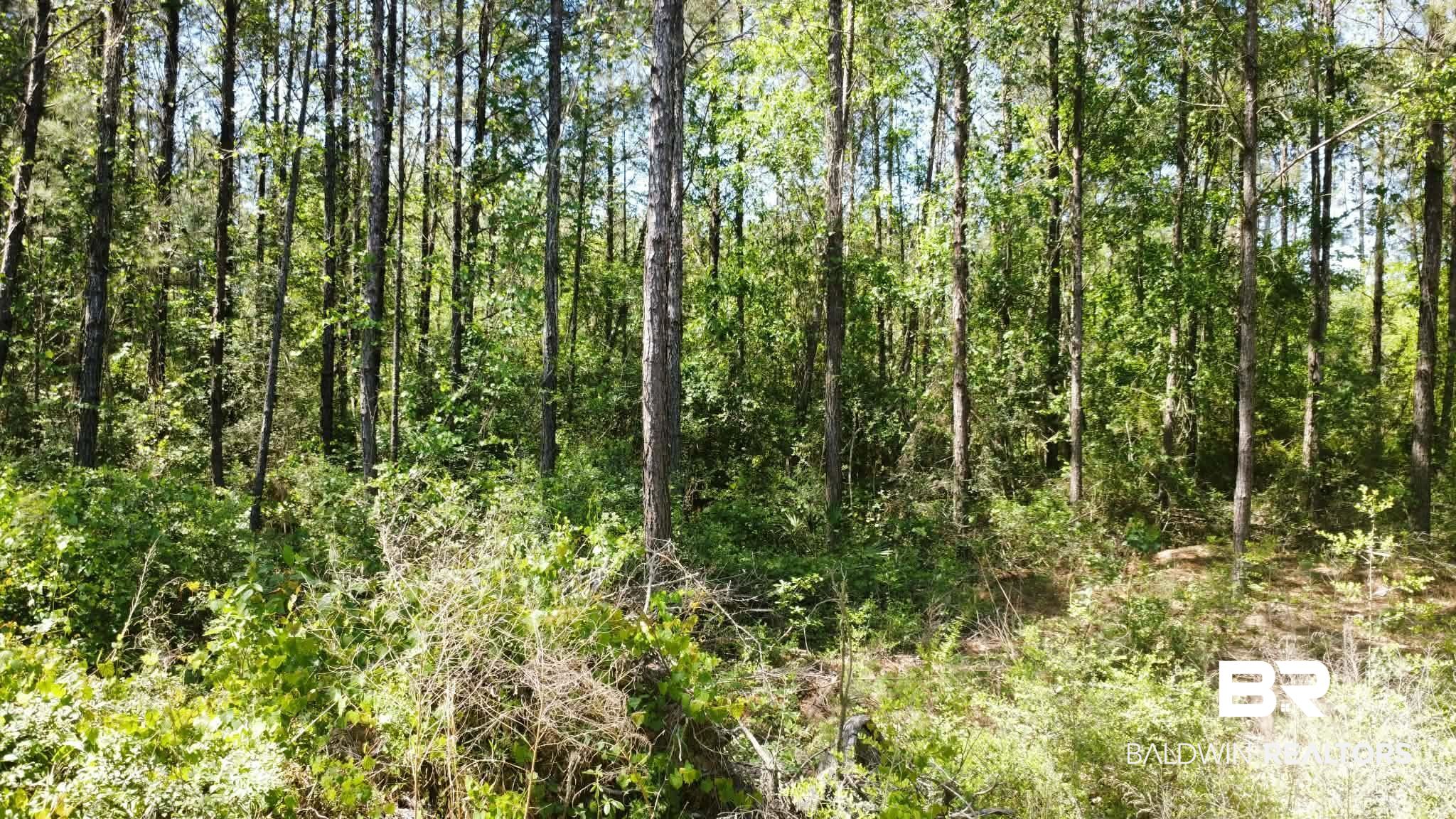 0 Smallwood Lane Seminole, AL 36574 - Photo 6 of 7