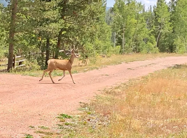 a wooden bench sitting in the middle of a yard