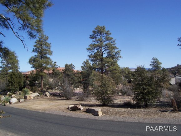1714 Conifer Ridge Lane Prescott, AZ 86303 - Photo 1 of 9 Primary Photo