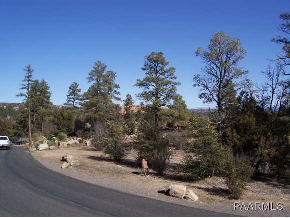 1714 Conifer Ridge Lane Prescott, AZ 86303 - Photo 7 of 9 Additional Photo