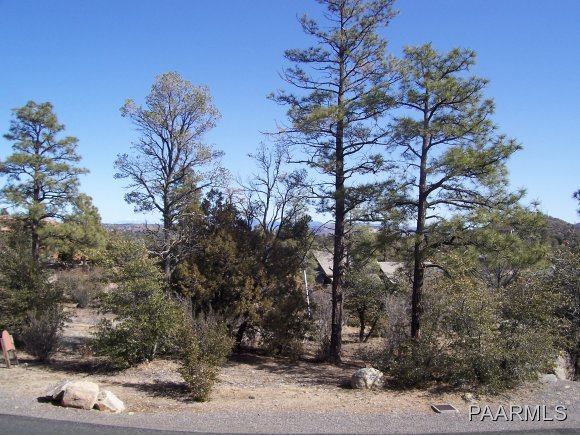 1714 Conifer Ridge Lane Prescott, AZ 86303 - Photo 8 of 9 Additional Photo