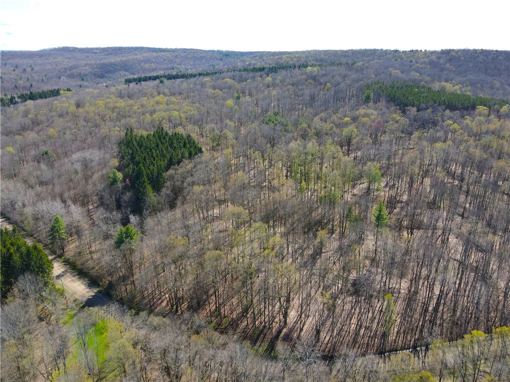 2856 Zimmer Road Scio, NY 14880 - Photo 39 of 50