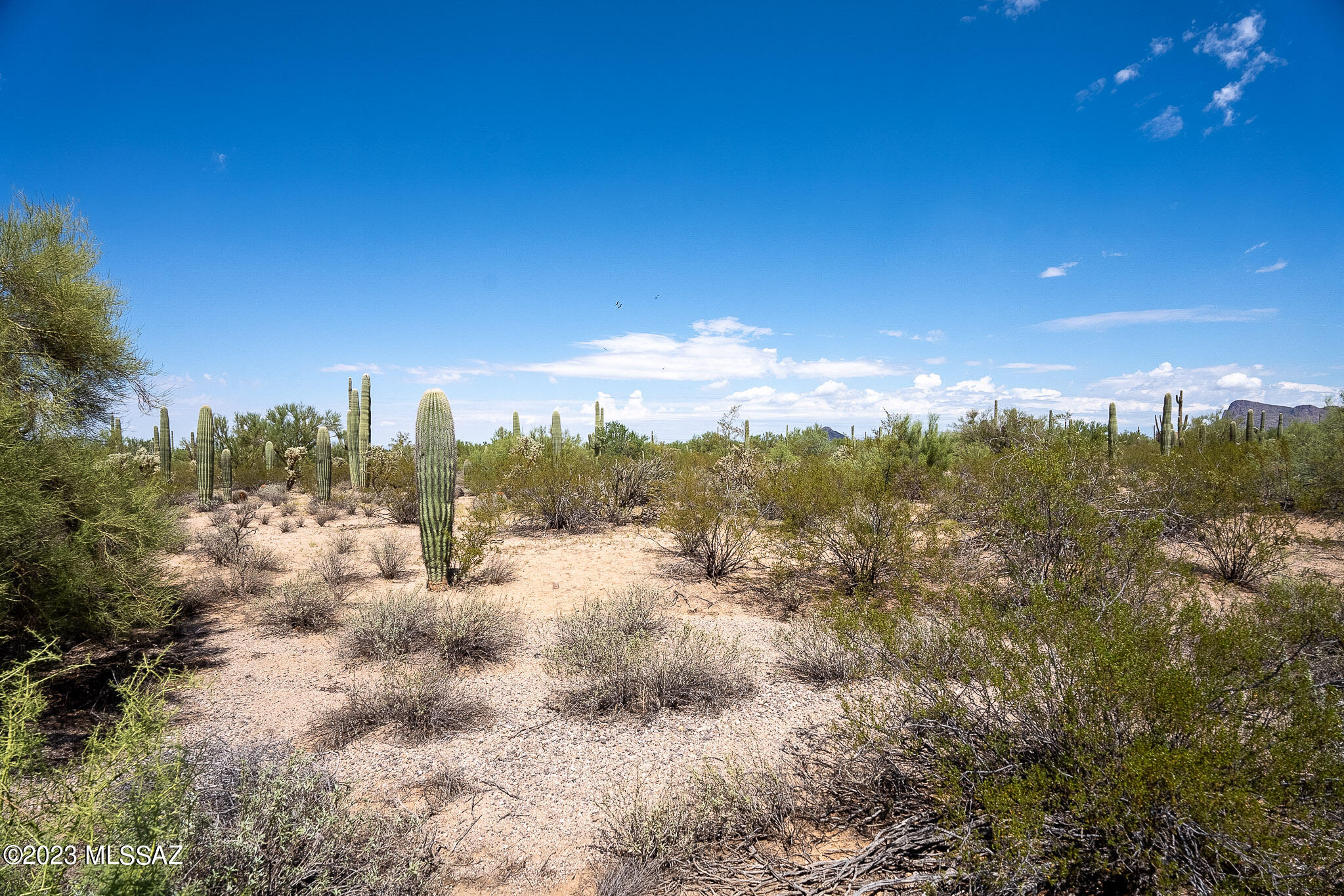 11700 West Rudasill Road, Unit LOT 2 Tucson, AZ 85743 - Photo 18 of 20 Gallery Image 18