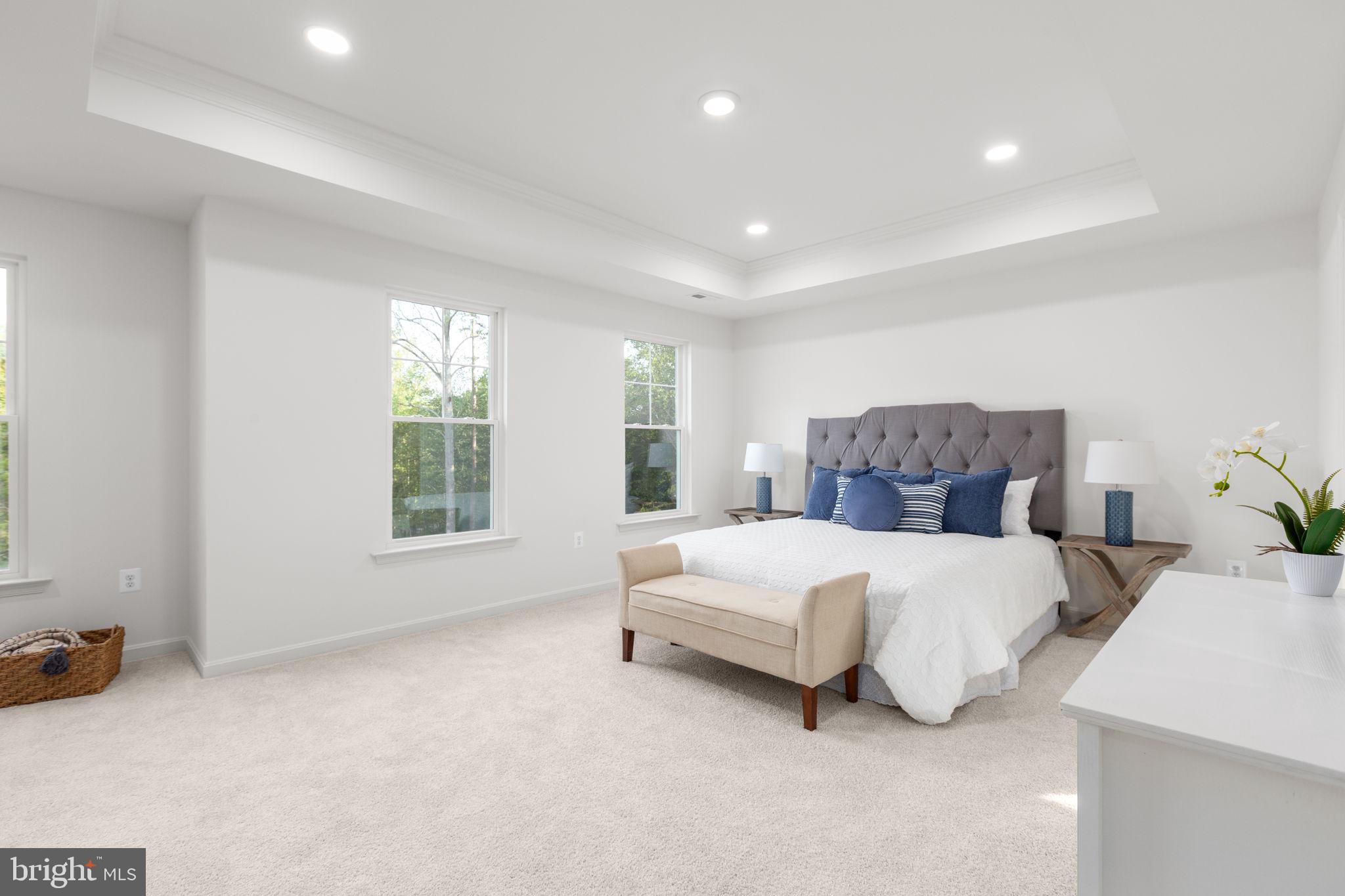 34198 Enchanted Way Locust Grove, VA 22508 - Photo 17 of 62 a spacious bedroom with a bed and a couch