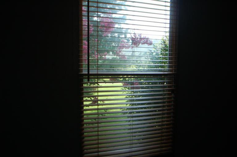 110 Station Camp Road Lexington, KY 40508 - Photo 18 of 19 This window is in the 2nd bedroom. All