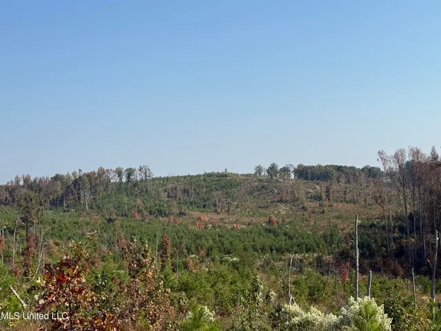 $1,499,712 | 7 Off Highway, Coffeeville, MS 38922