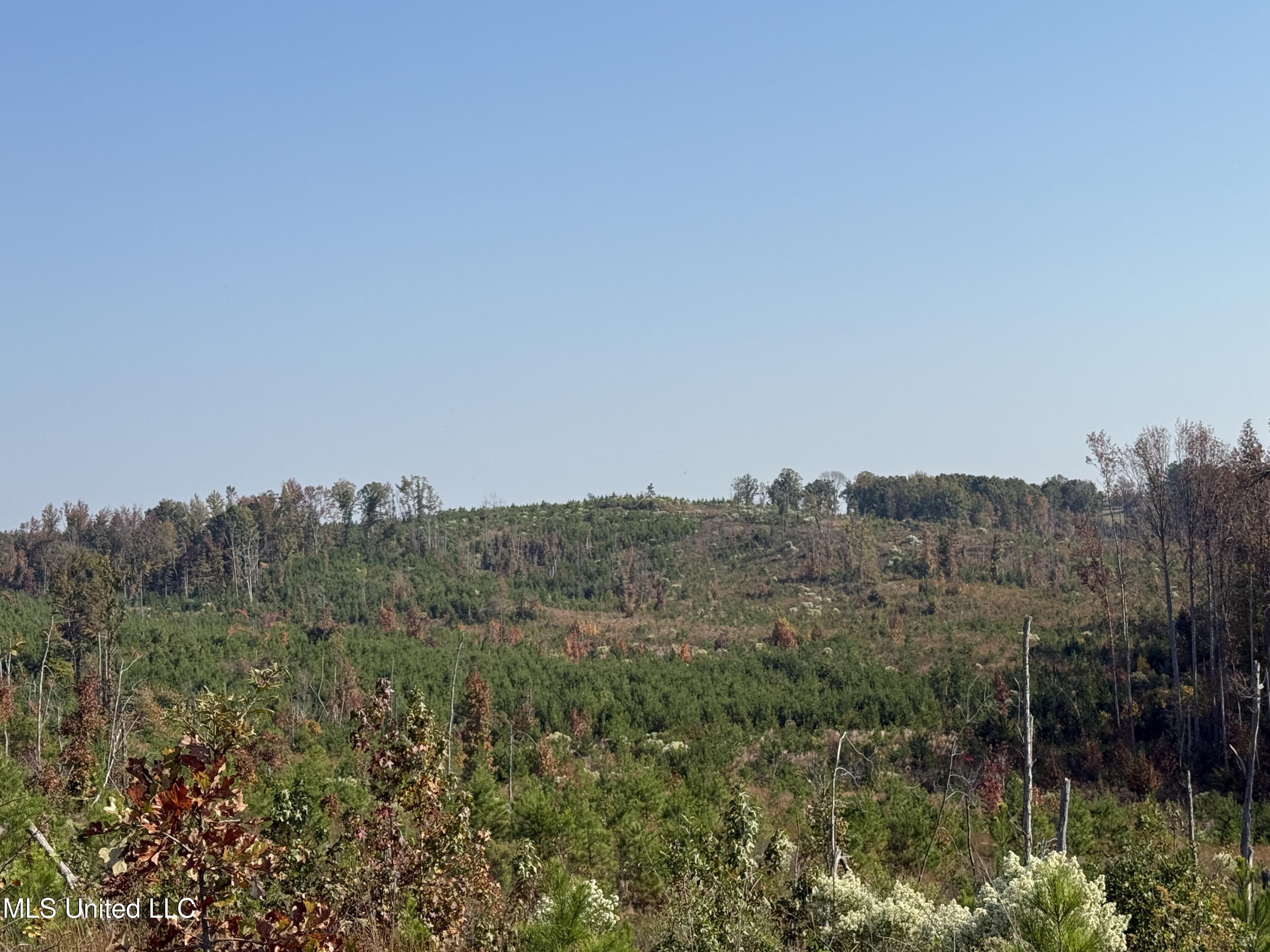 7 Off Highway Coffeeville, MS 38922 - Photo 11 of 24 Photo Oct 28 2024, 10 41 22 AM AVOID 280