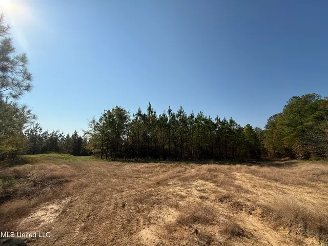 $1,499,712 | 7 Off Highway, Coffeeville, MS 38922