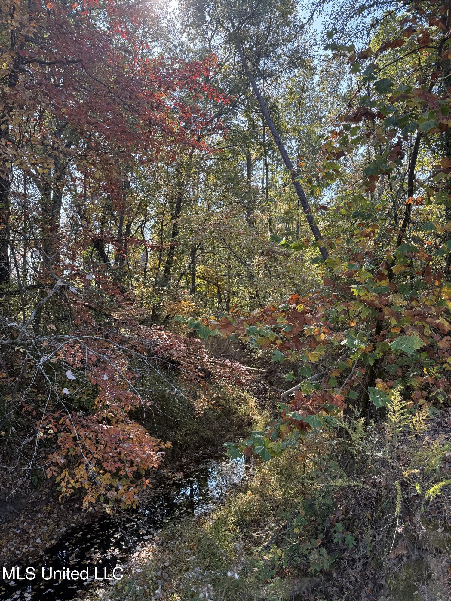 7 Off Highway Coffeeville, MS 38922 - Photo 14 of 24 Photo Oct 28 2024, 10 58 43 AM AVOID 280