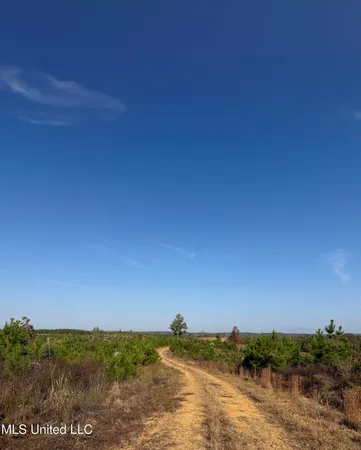 $1,499,712 | 7 Off Highway, Coffeeville, MS 38922