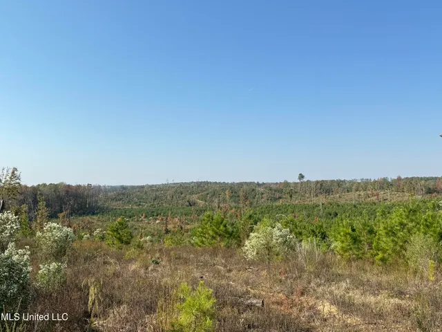 $1,499,712 | 7 Off Highway, Coffeeville, MS 38922