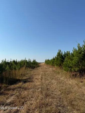 $1,499,712 | 7 Off Highway, Coffeeville, MS 38922