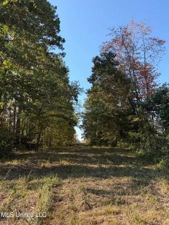 $1,499,712 | 7 Off Highway, Coffeeville, MS 38922