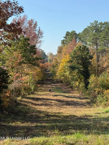 $1,499,712 | 7 Off Highway, Coffeeville, MS 38922