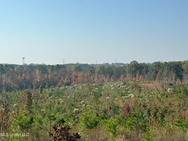 $1,499,712 | 7 Off Highway, Coffeeville, MS 38922