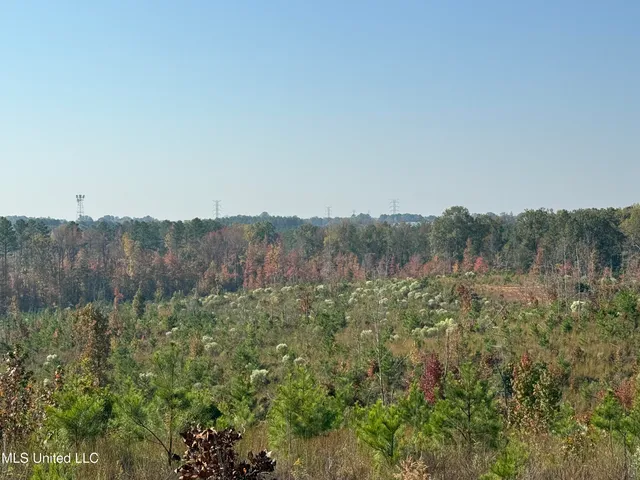 $1,499,712 | 7 Off Highway, Coffeeville, MS 38922