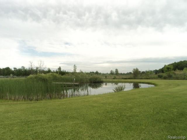7621 Cribbins Road Avoca, MI 48006 - Photo 28 of 46 DSC02082.jpg