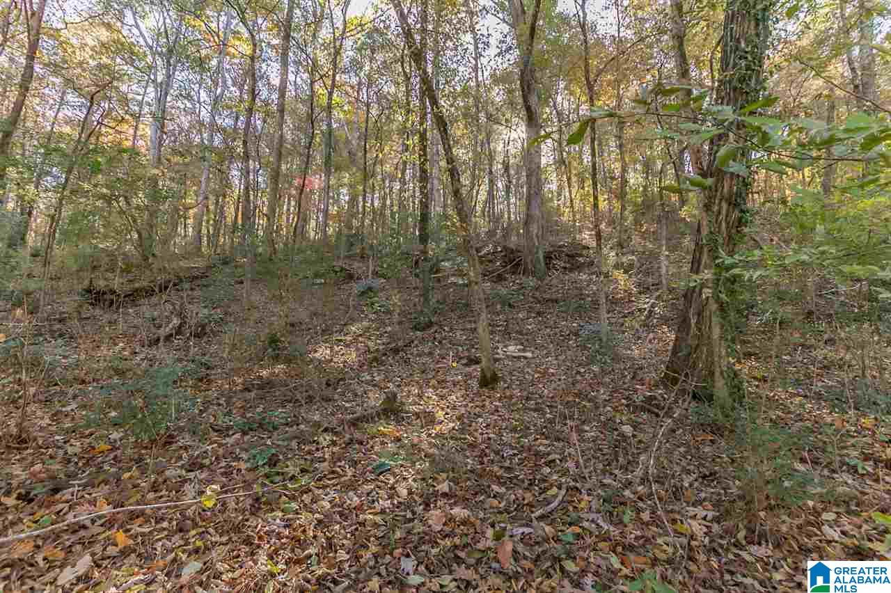 3385 Overbrook Road, Unit 109 Birmingham, AL 35213 - Photo 20 of 36