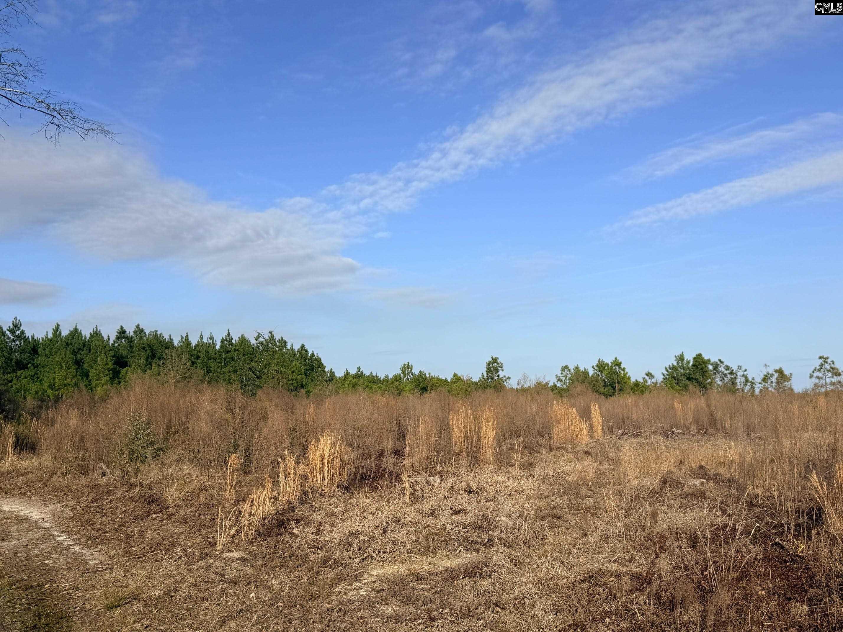 0 Festival Trail Road Salley, SC 29137 - Photo 5 of 8