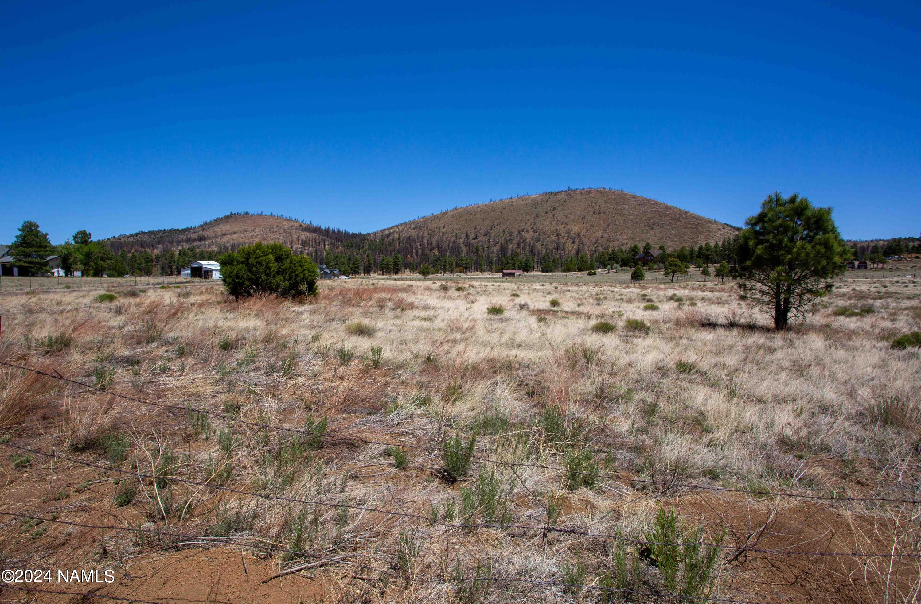 5833 East Girl's Ranch Road Flagstaff, AZ 86004 - Photo 6 of 21 Looking from Front of property
