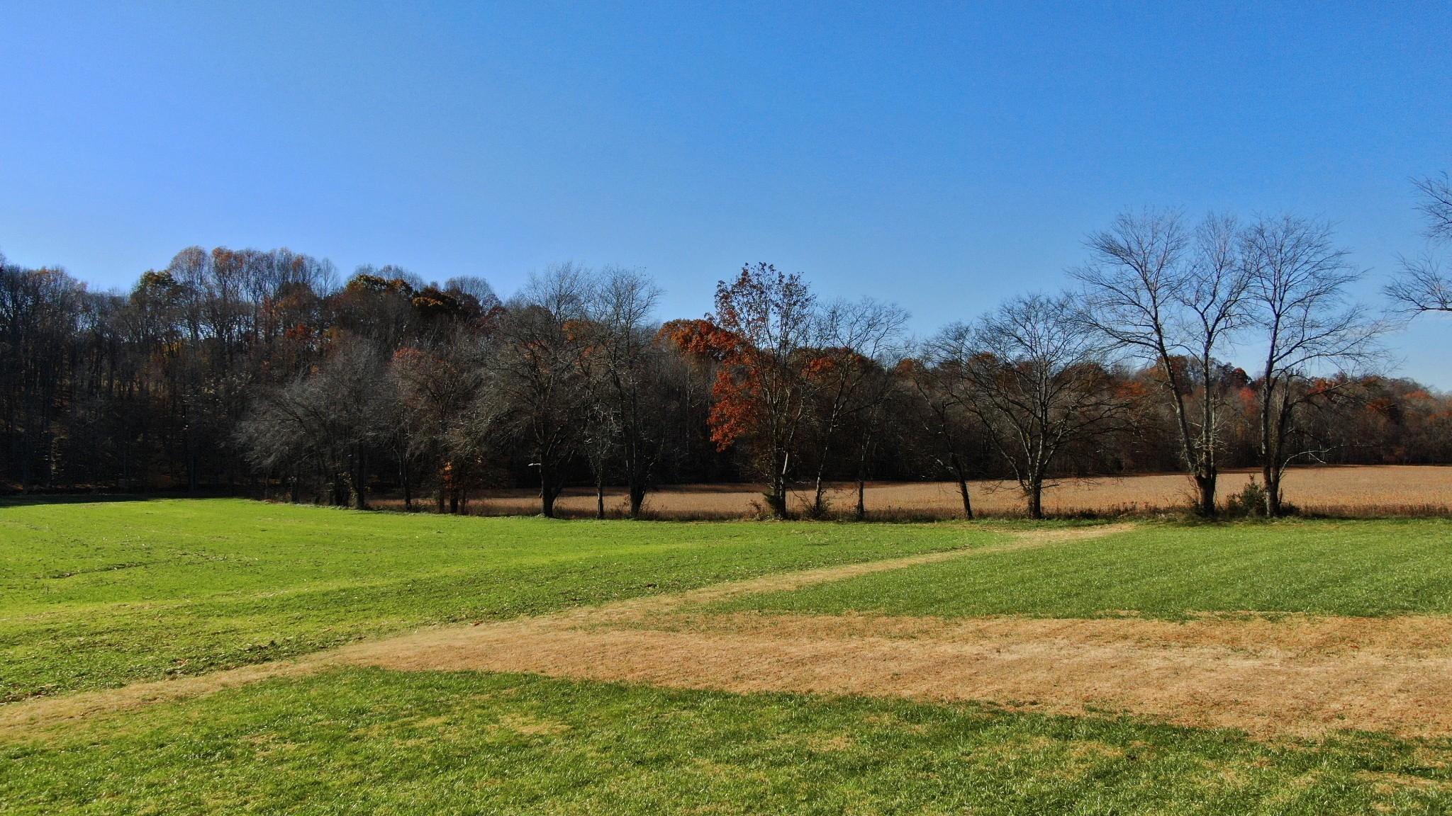 191 Doug Williams Road Portland, TN 37148 - Photo 33 of 51 a view of a golf course