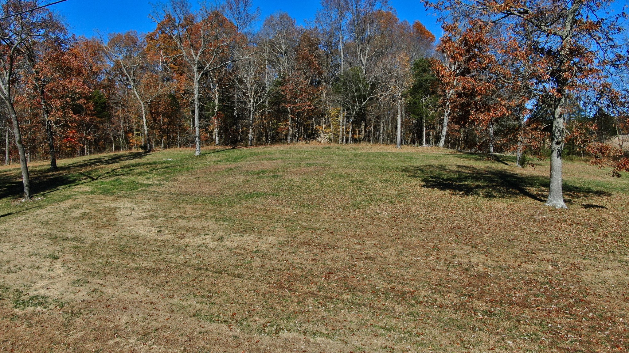 191 Doug Williams Road Portland, TN 37148 - Photo 36 of 51 a view of a trees with a yard