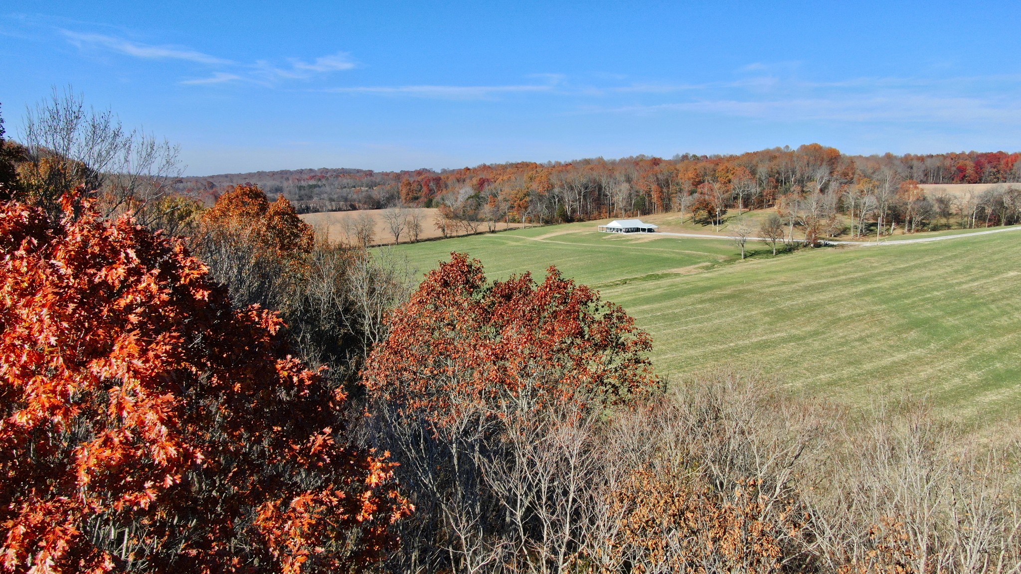 191 Doug Williams Road Portland, TN 37148 - Photo 43 of 51 a view of a field with an trees