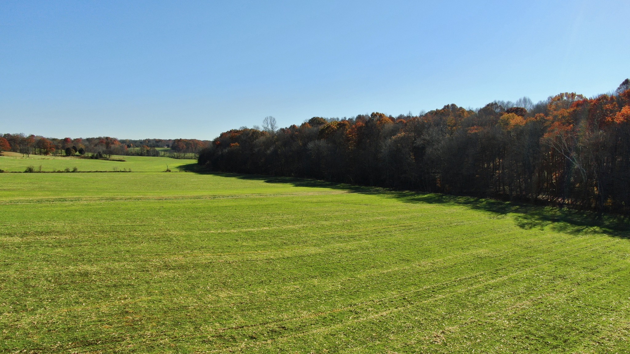 191 Doug Williams Road Portland, TN 37148 - Photo 45 of 51 a view of grassy field with mountain