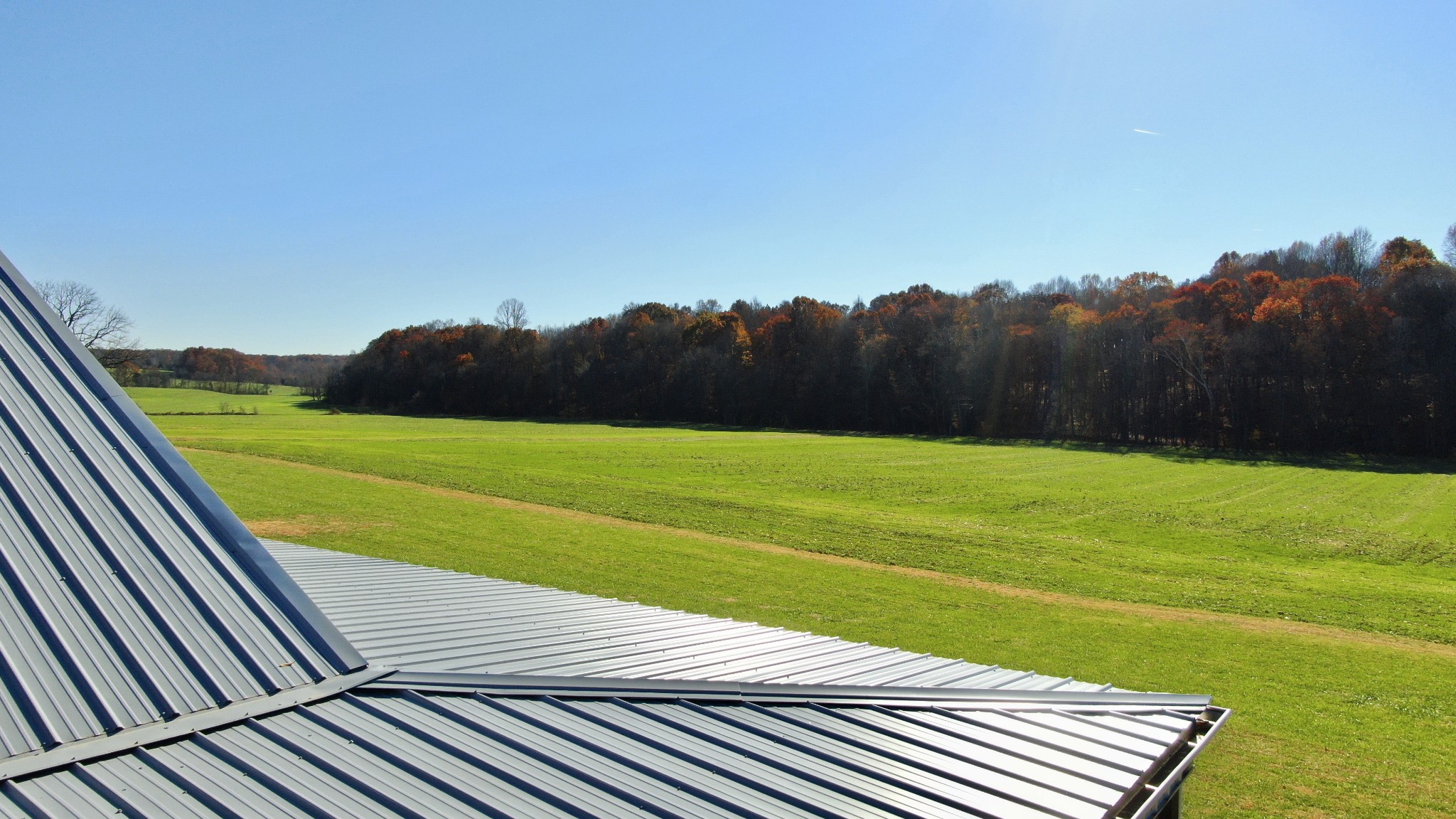 191 Doug Williams Road Portland, TN 37148 - Photo 46 of 51 a view of a yard and an empty space