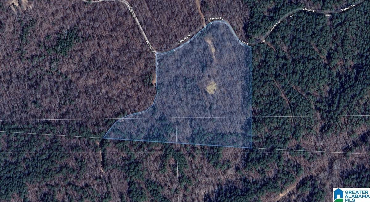 5565 Red Robin Road Sylacauga, AL 35151 - Photo 12 of 15