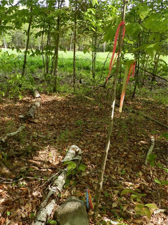 0 Bagley Mountain Road Lincoln, ME 04457 - Photo 18 of 22 Back corner pin next to field