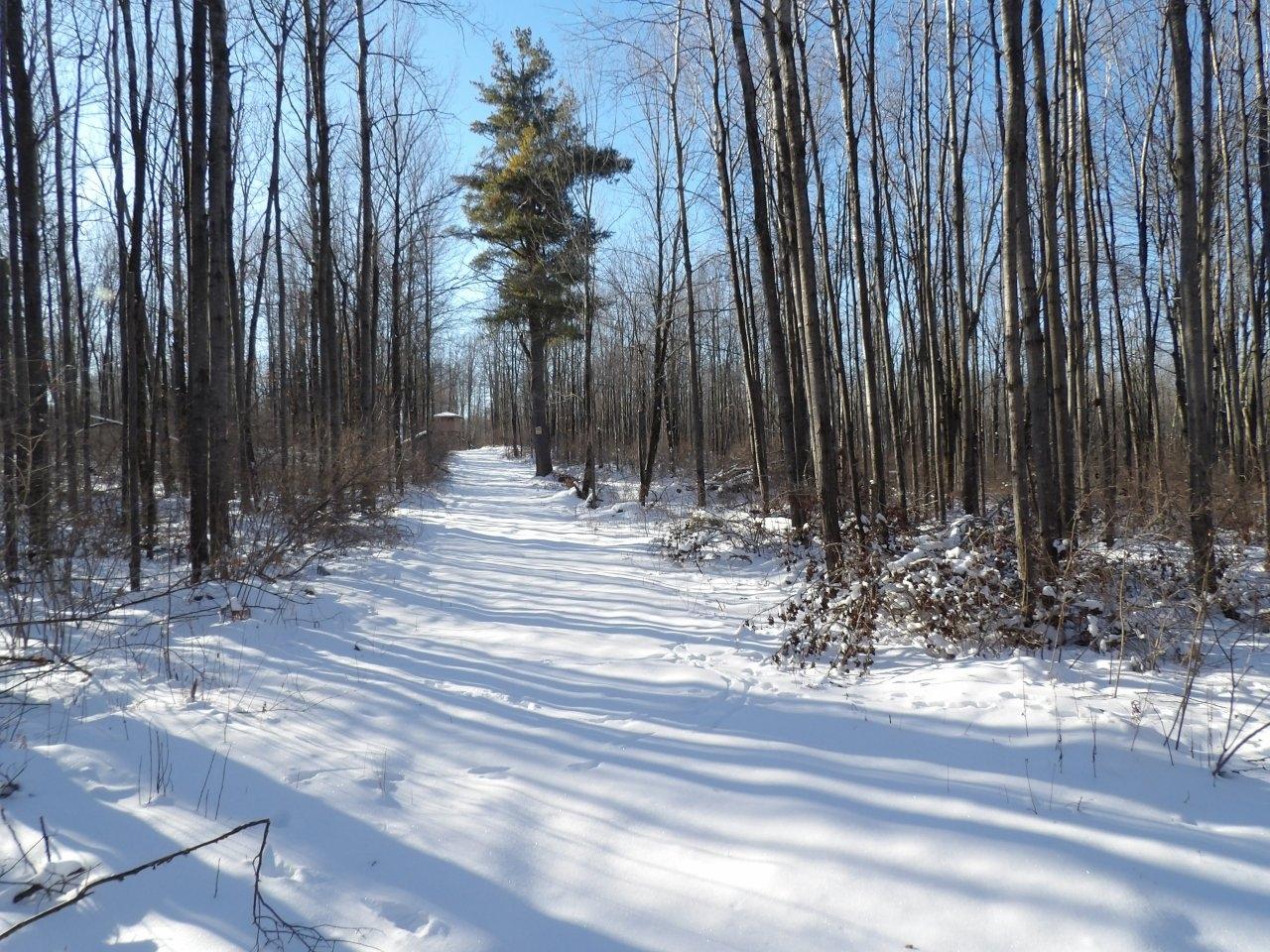 8256 Squires Road Winter, WI 54896 - Photo 35 of 40 Gallery Image 35