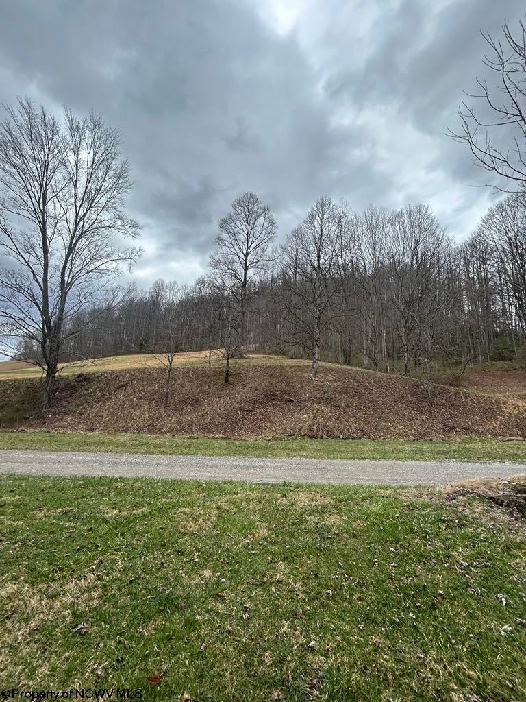 192 Robey Ridge Rock Cave, WV 26234 - Photo 13 of 23 Gallery Image 13