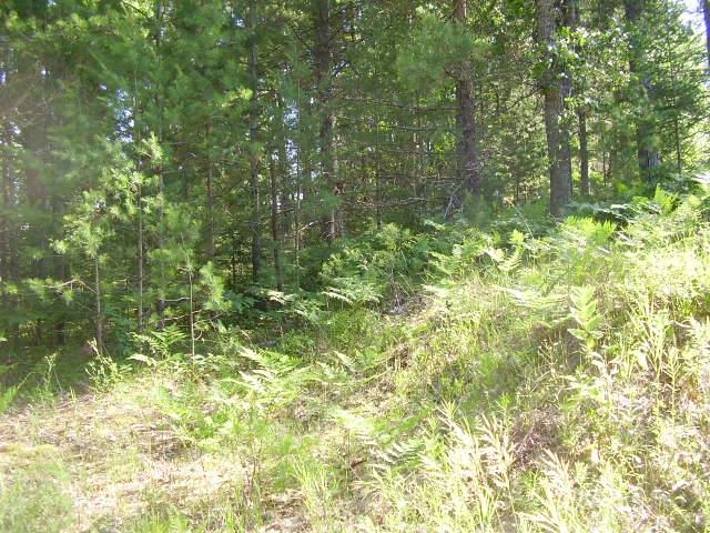 4281 Kneeland Road Lewiston, MI 49756 - Photo 1 of 11 Gallery Image 1