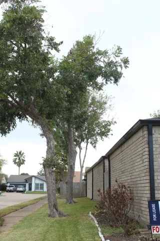 $2,000 | 11303 Windmark Drive, Houston, TX 77099