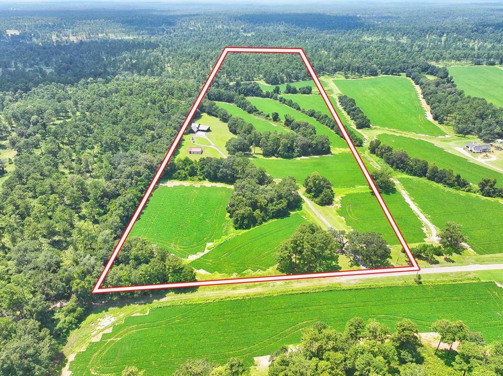 2501 Stringer Road Thomasville, GA 31792 - Photo 1 of 91 Main View