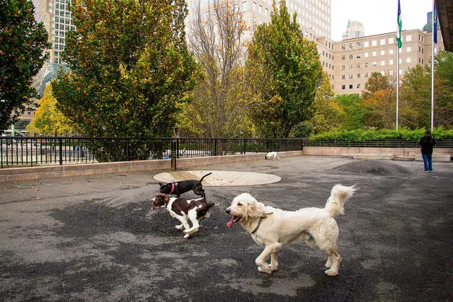 a view of yard with patio